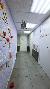 Київська область, Софіївська Борщагівка
