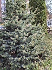 Продаж 3-кімнатної квартири у м. Кременець