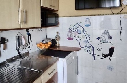 Запорізька область, Запоріжжя, Дніпровський