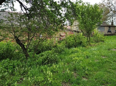 Газифіковане господарство 1.5 га для фермерства 3 км від Рівного