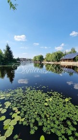 Київська область, Козин