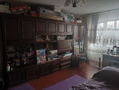 Київська область, Коцюбинське