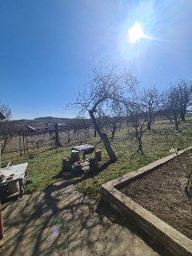 Чернівецька область, Молодія