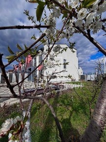 Київська область, Гостомель