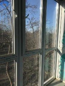 Одесса, Гераневая ул.