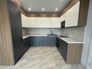 Продам 4-комнатный дом Днепровский район село Новоалександровка Купить