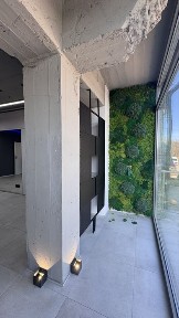 Закарпатська область, Ужгород