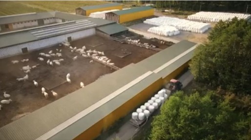 Київська область, Бишів