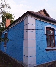 Зозулинці. Вінницька обл., біля Хмільника. Власниця будинку.