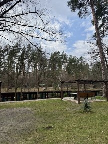 Будинок дача, ліс, камін