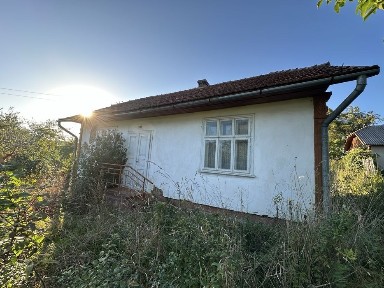 Продається будинок в с. Станиля