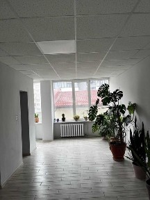 Львівська область, Львів, Шевченківський