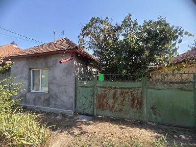 Закарпатська область, Берегове
