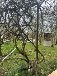 Продаж Дачного Будинку р-н Авторинок.
