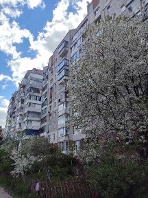Львівська область, Львів, Франківський