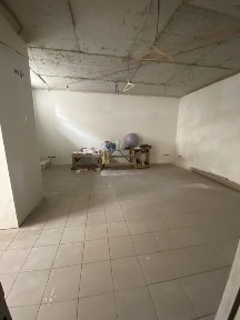 Київська область, Софіївська Борщагівка