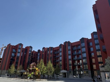 Київська область, Софіївська Борщагівка