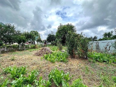 Продаж будинку біля лісу та озера, Бортничі, вул. Лісна 38