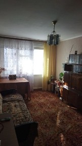 Житомирська область, Житомир, Польова