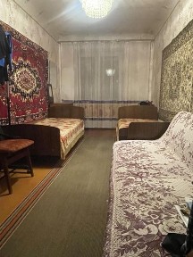 Житомирська область, Скоморохи