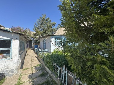Одеська область, Великий Дальник