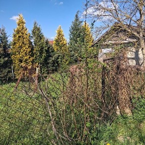 Продаж. Будинка і 5.5 соток землі в с. Годовиця.
