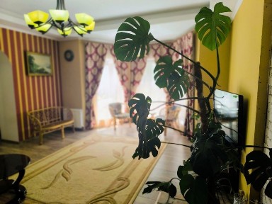 Вінницька область, Вінниця