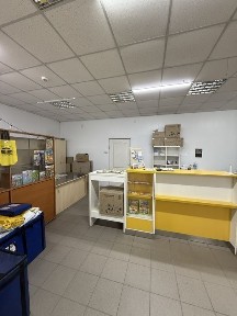 Кіровоградська область, Олександрія