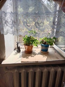Запорізька область, Запоріжжя, Шевченківський
