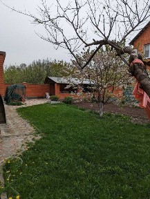 Полтавська область, Полтава