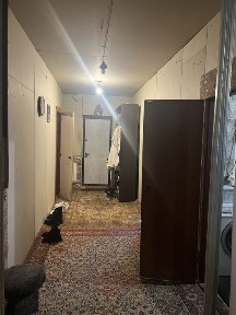 Київська область, Нові Петрівці