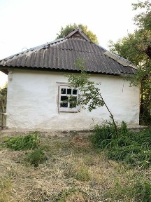 Київська область, Томашівка