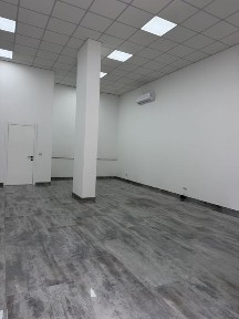 Закарпатська область, Ужгород