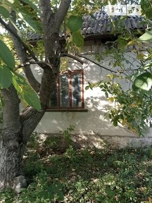 Продаж 1 поверхового будинку з опаленням і ділянкою на 25 соток, 55.5 кв. м, 2 кімнати, на вул. Вишнева • ID 34221602
