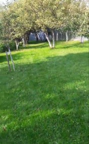 Дача в с. Солонці