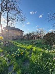 Кіровоградська область, Кропивницький, Подільський