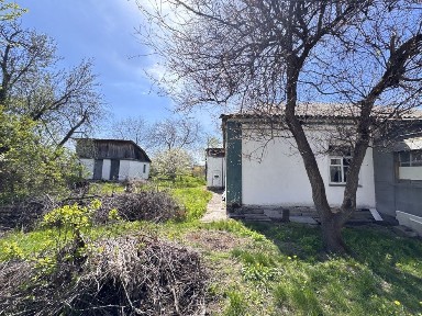 Київська область, Бориспіль
