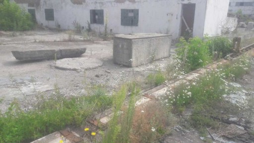 Житомирська область, Житомир, Житній ринок