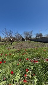 Харківська область, Харків, Немишлянський