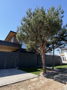 Дім, який підкреслює ваш статус | Гореничі | Преміум