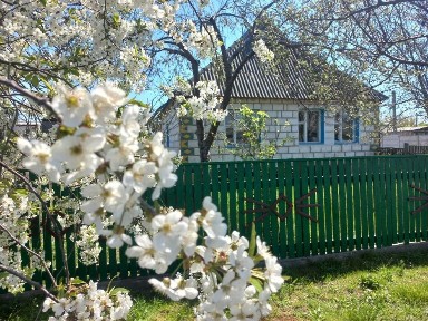 Купуйте цегляний будинок в Брусилові Житомирської області