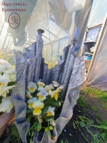 Полтавська область, Кременчук