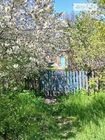 Новоіванівка (Кривий Ріг), Ковпака 39 • ID 34226328