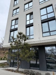 Львівська область, Львів, Шевченківський