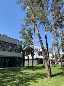 Київська область, Козин