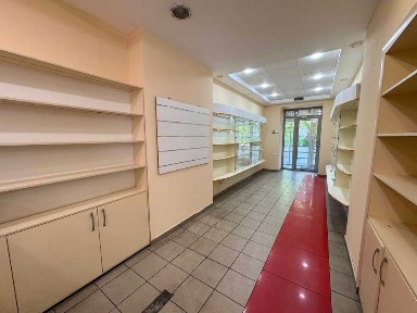 Запорізька область, Запоріжжя, Вознесенівський