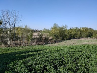 Київська область, Пищики