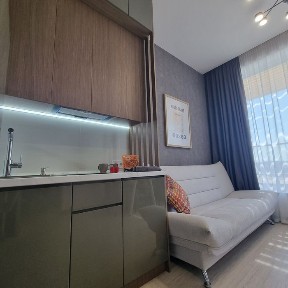 Аренда 1к квартиры с террасой жк <a href='/newbuilding/889/view/zk-olimpiiskii'>Олимпийский</a> 20000 грн