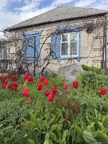 Продам дом Подгороднее улица Жовтнева Горького