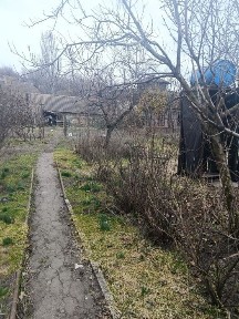Дніпропетровська область, Кривий Ріг, Центрально-Міський